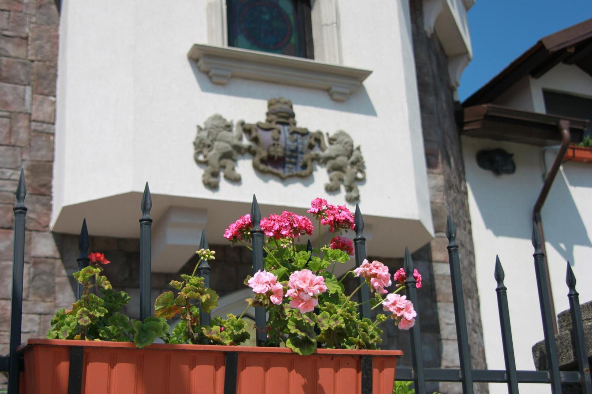 Hotel Lacetate Piteşti Extérieur photo